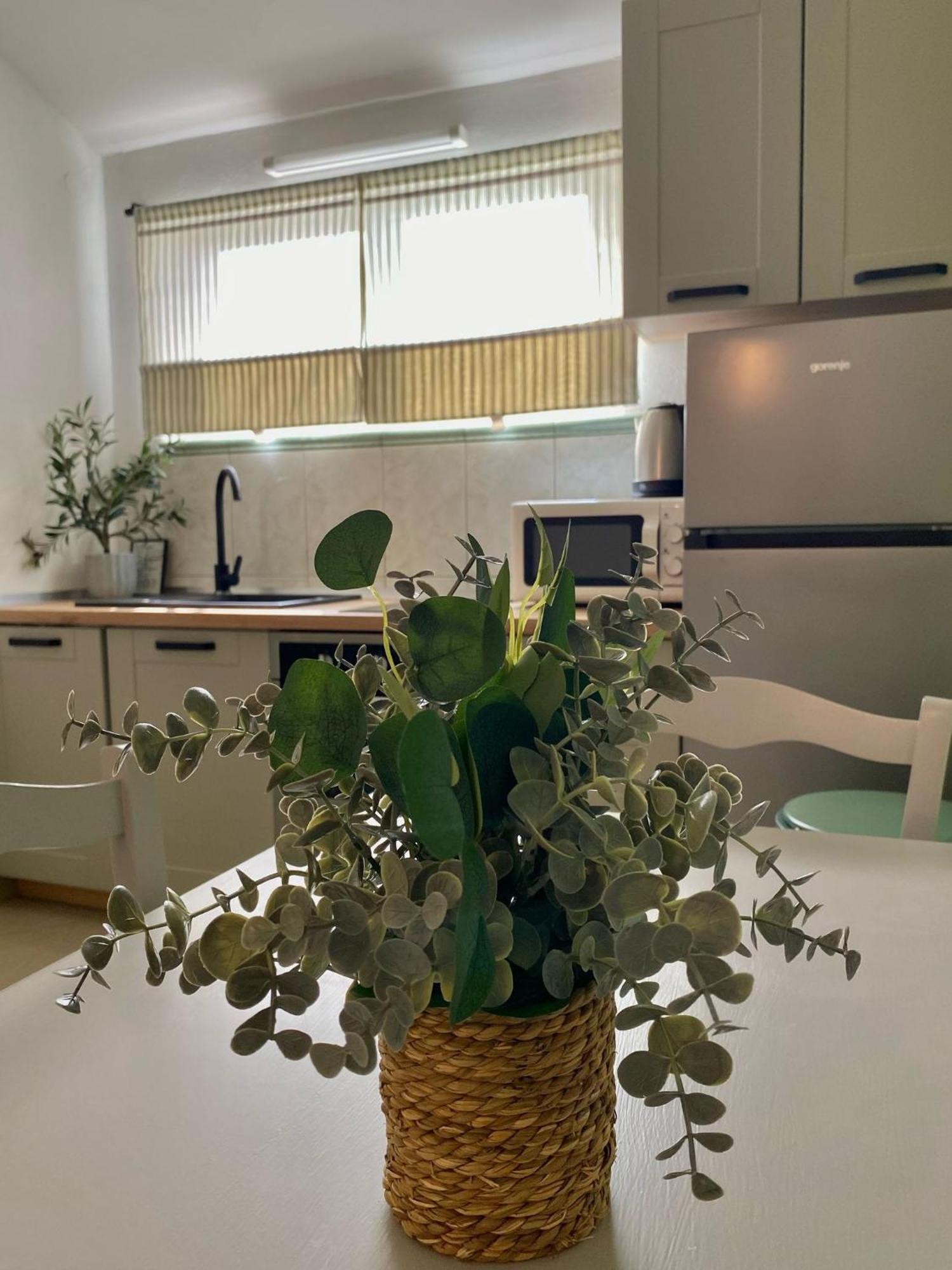 Apartments Maria 쿠클리차 외부 사진
